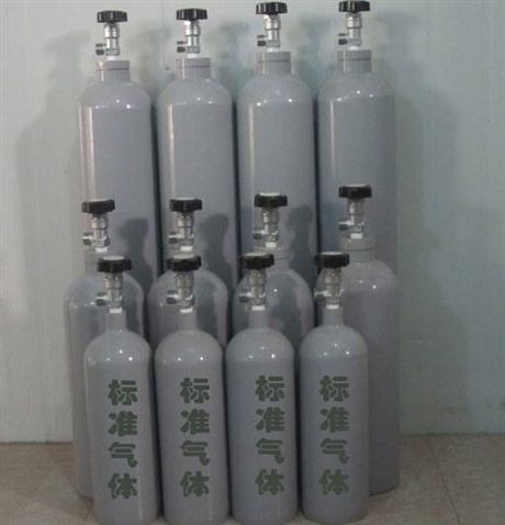 标准气体 标准混合气